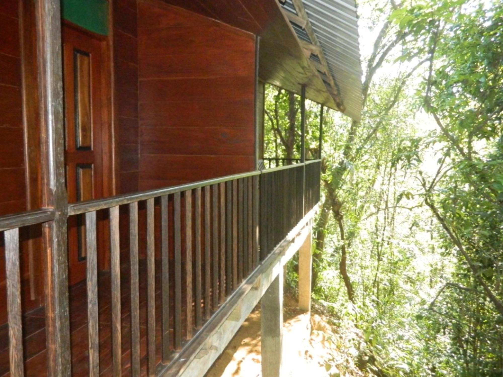 Birds Paradise Hotel Kudawe ห้อง รูปภาพ