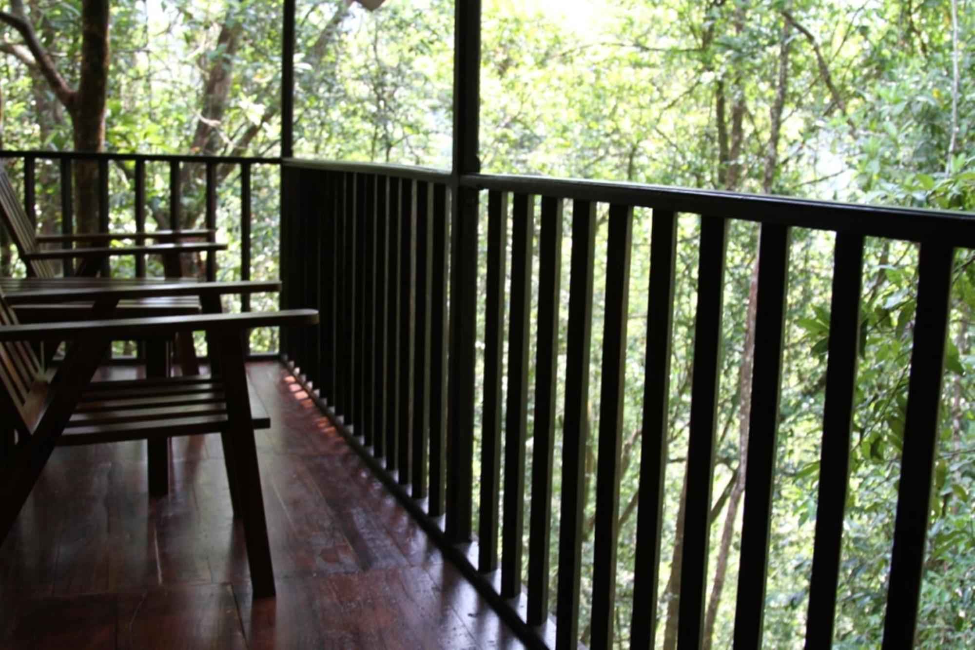 Birds Paradise Hotel Kudawe ห้อง รูปภาพ