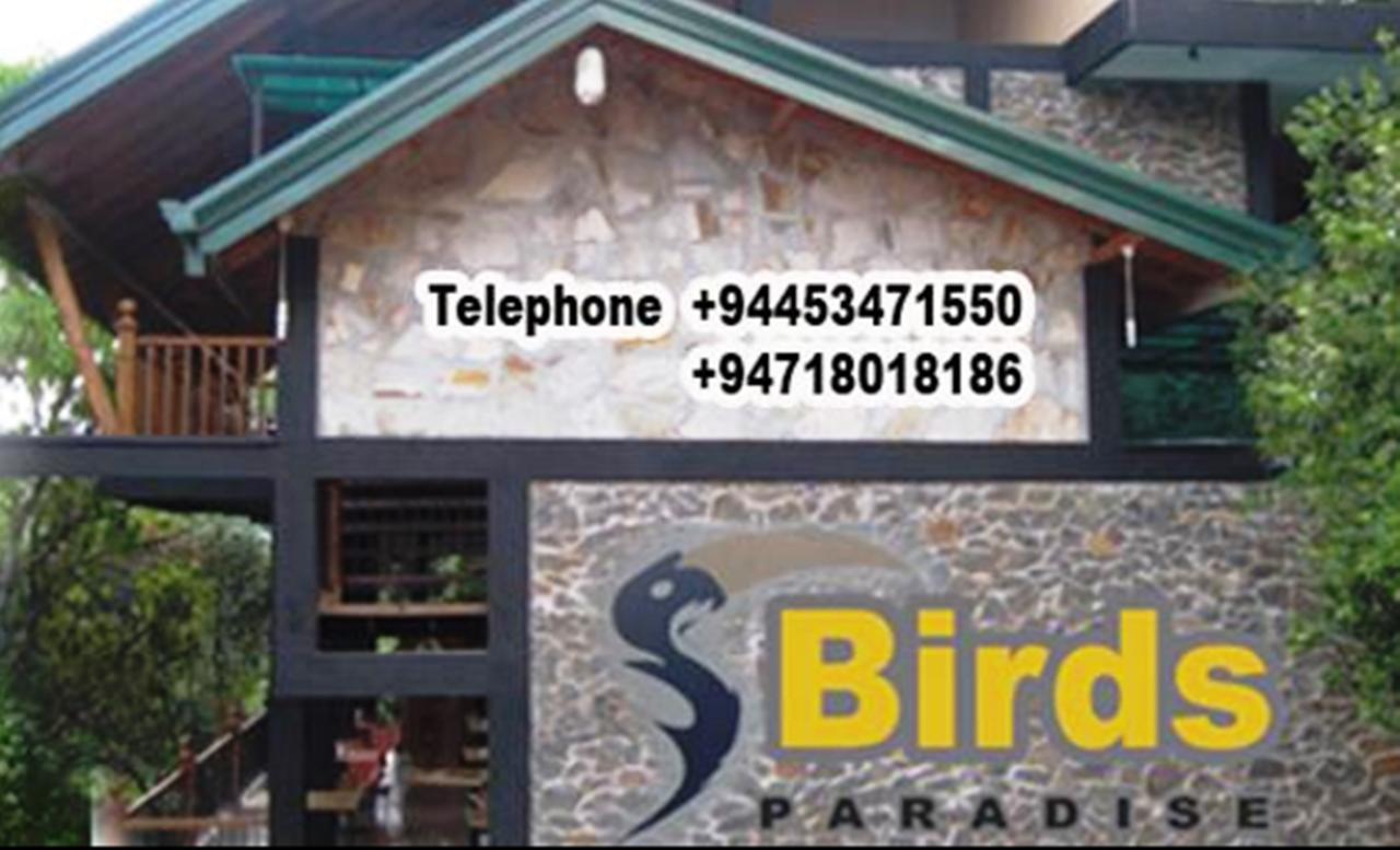 Birds Paradise Hotel Kudawe ภายนอก รูปภาพ