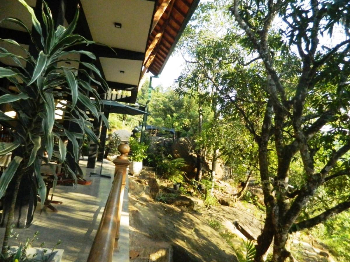 Birds Paradise Hotel Kudawe ภายนอก รูปภาพ