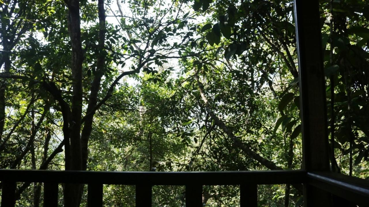 Birds Paradise Hotel Kudawe ภายนอก รูปภาพ